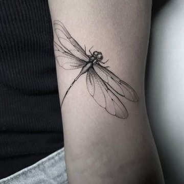 Dragonfly tattoo designs