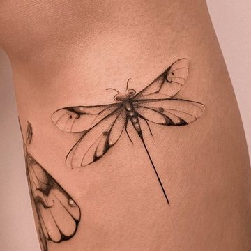 Dragonfly tattoo designs