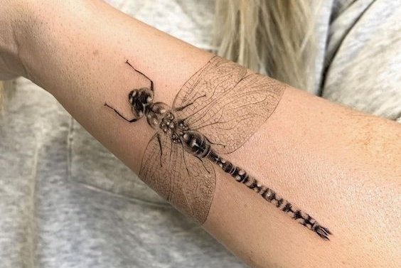 Dragonfly tattoo