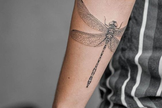 Dragonfly tattoo