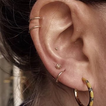Conch piercing stud paired with mid helix gold hoop